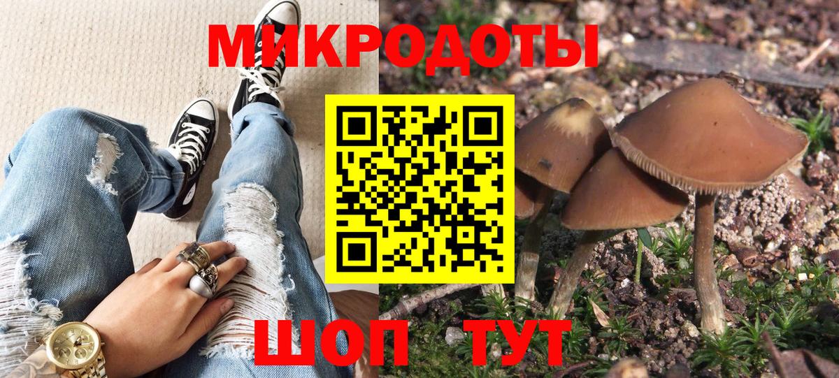 Галлюциногенные грибы Psilocybe  Галлюциногенные грибы мицелий  Кизилюрт  Вход с VPN 